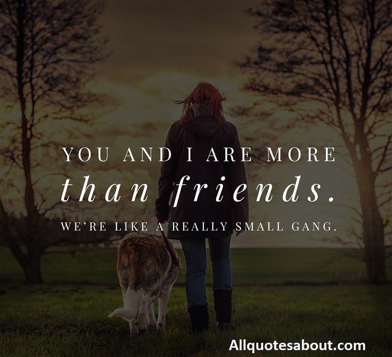 Friendship Quotes
