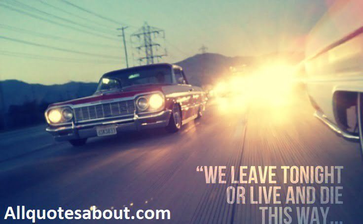 250+ Car Quotes and Sayings