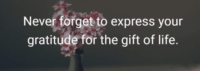 390+ Life Quotes And Saying