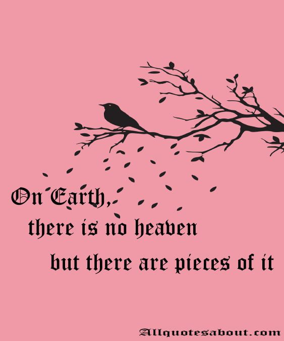 Nature Quotes