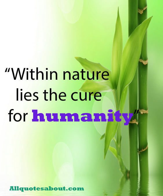 Nature Quotes