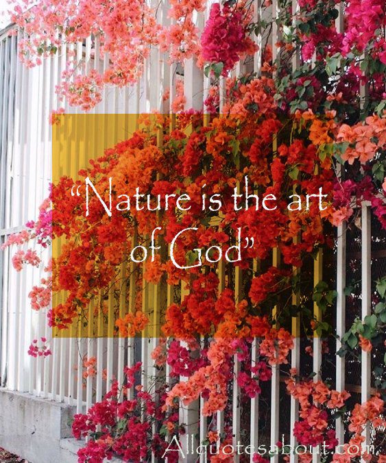 Nature Quotes