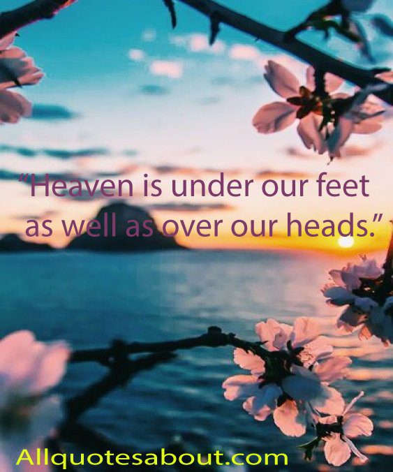 Nature Quotes