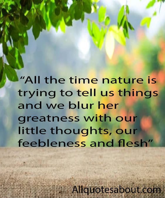 Nature Quotes