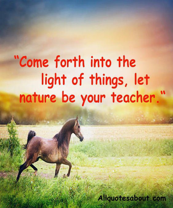 Nature Quotes