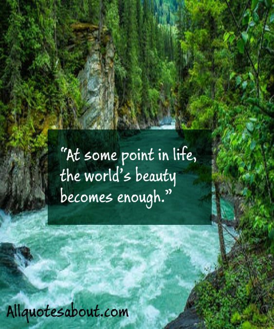 Nature Quotes