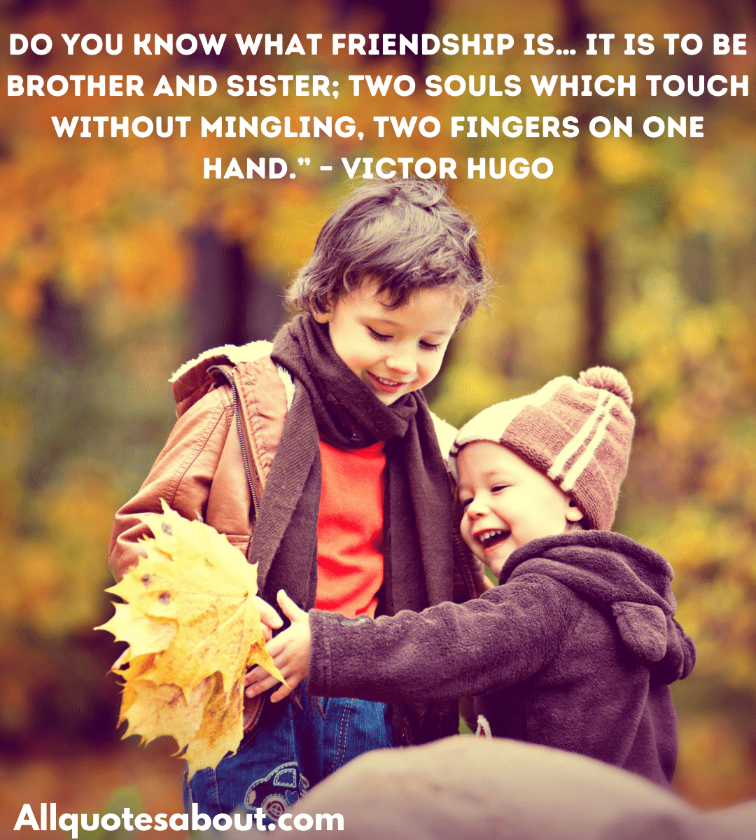 Brother Quotes