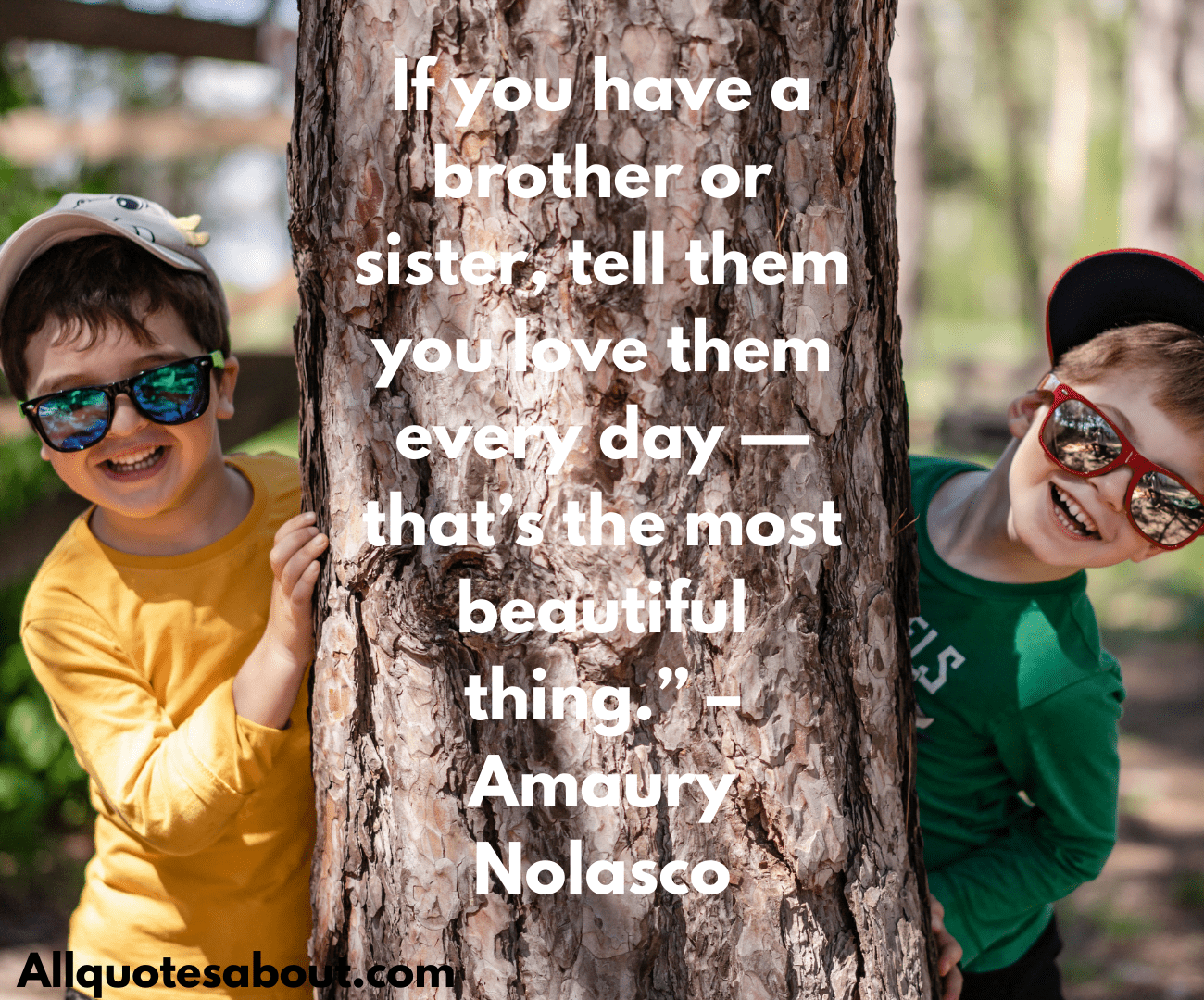 Brother Quotes
