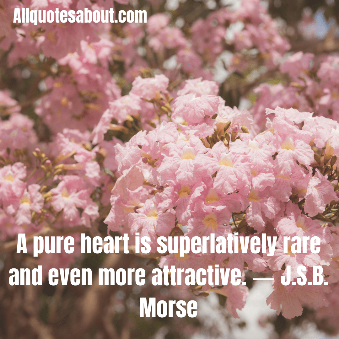 Beautiful Quotes