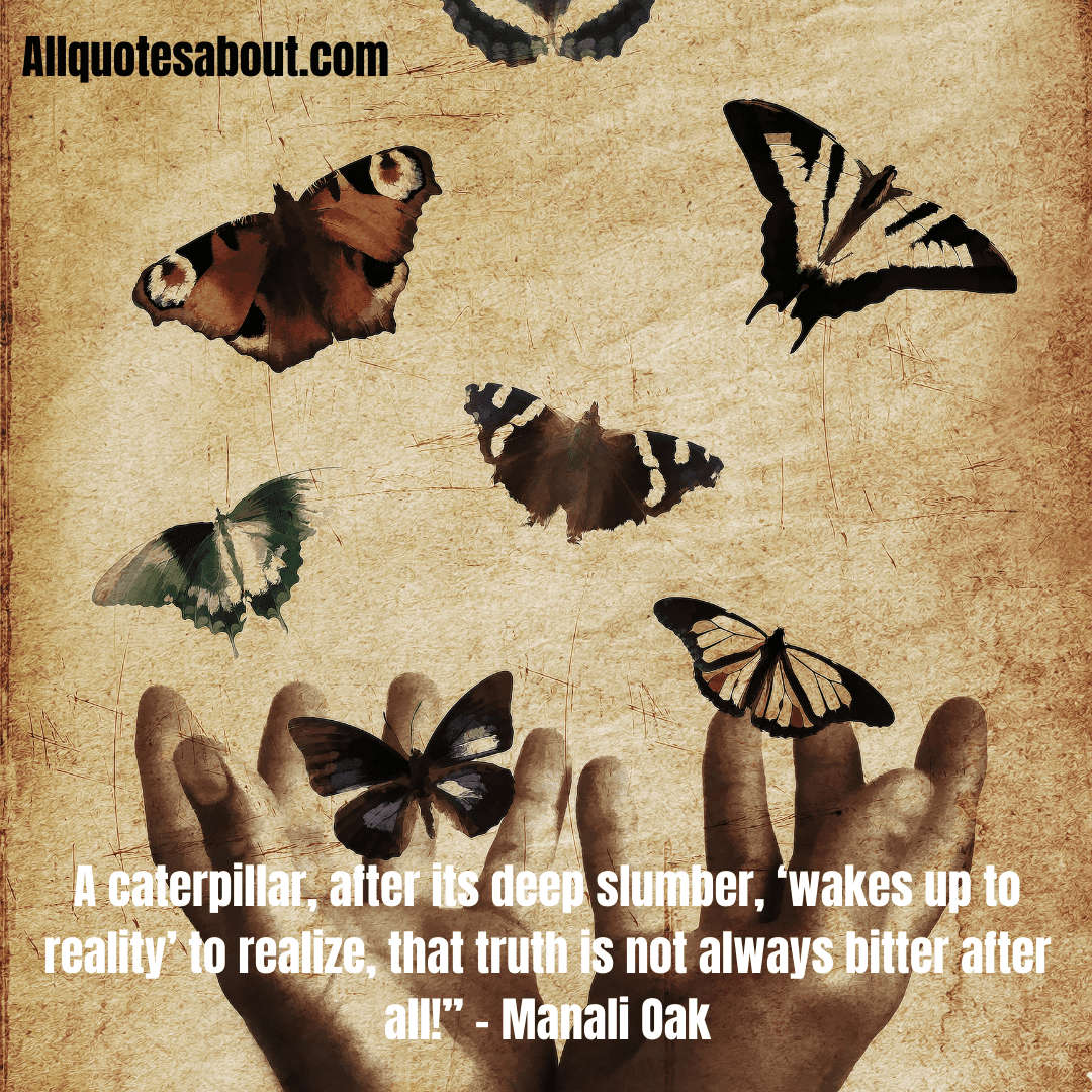 Butterfly Quotes