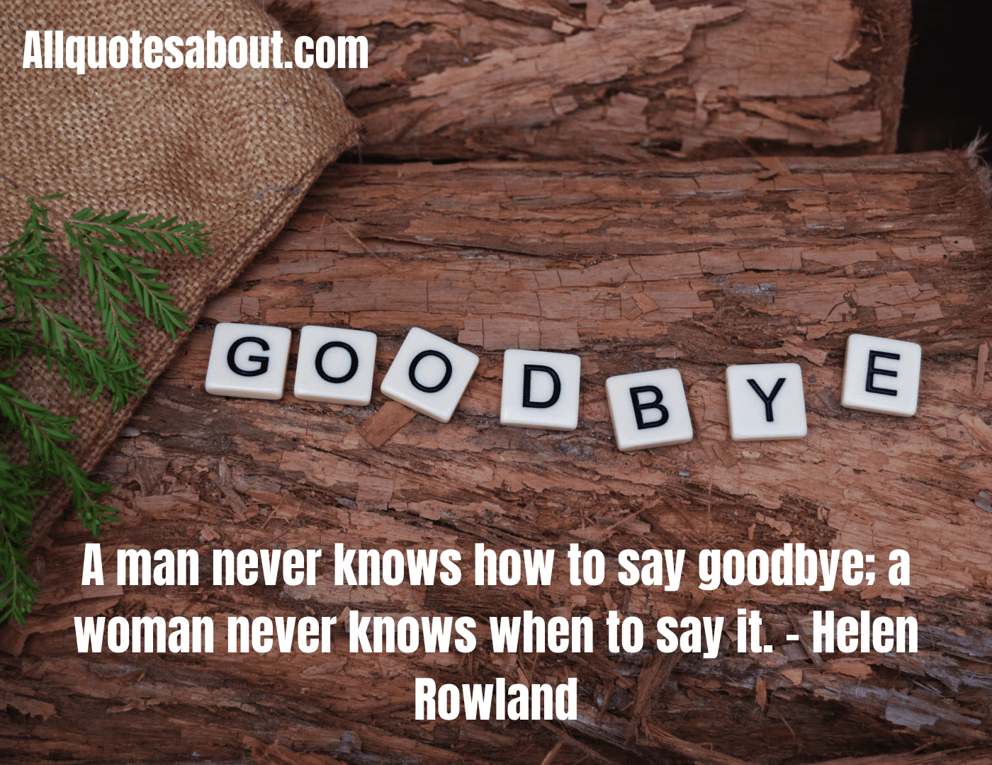 Goodbye Quotes