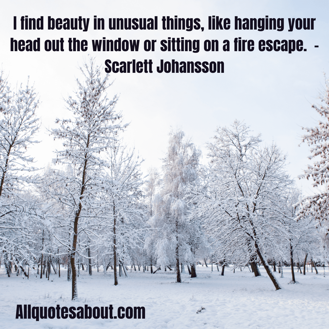 Beautiful Quotes