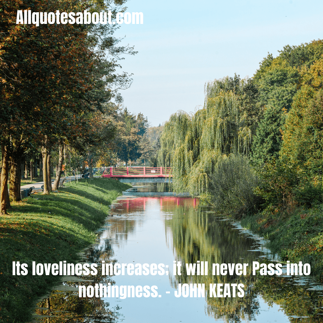 Beautiful Quotes
