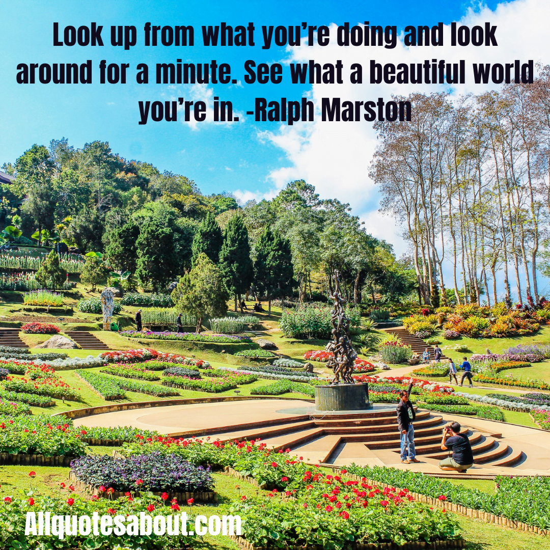 Beautiful Quotes