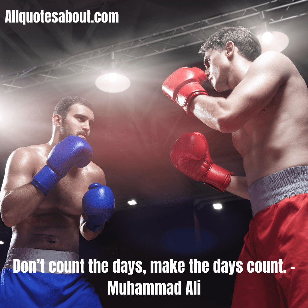 Boxing Day Quotes