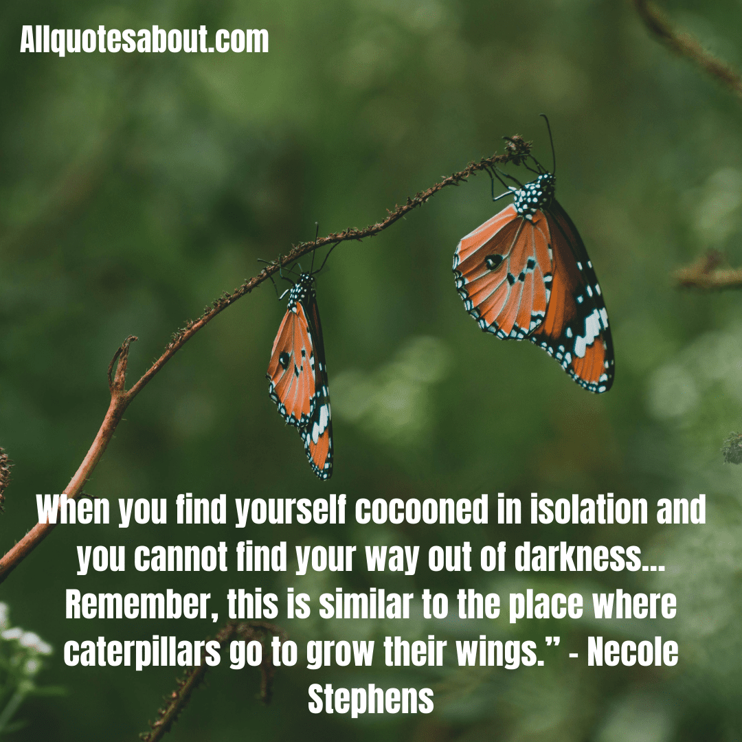 Butterfly Quotes