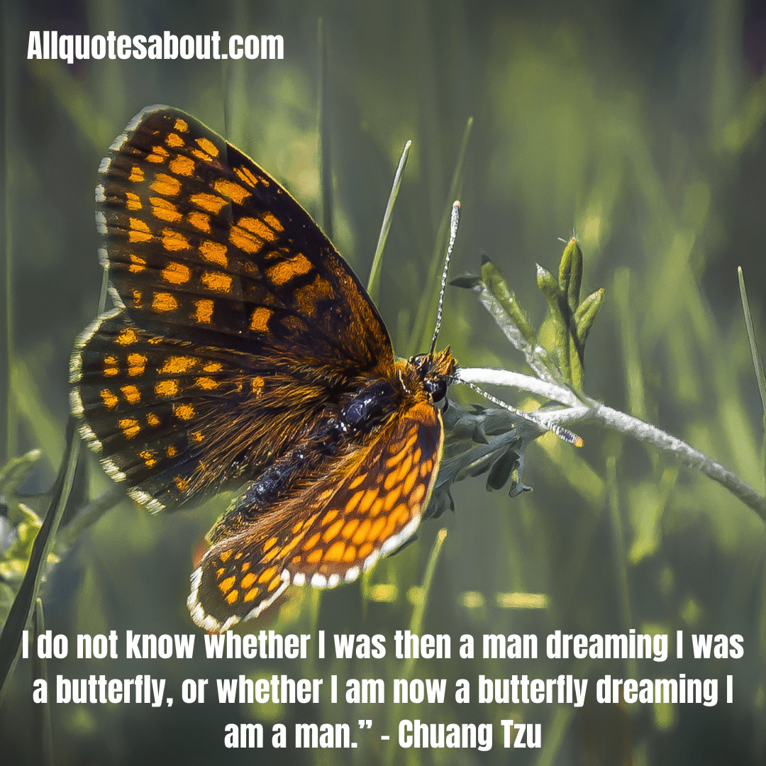 Butterfly Quotes
