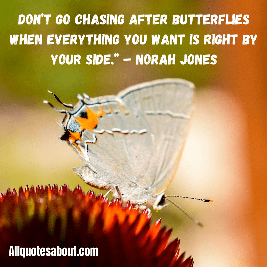 Butterfly Quotes
