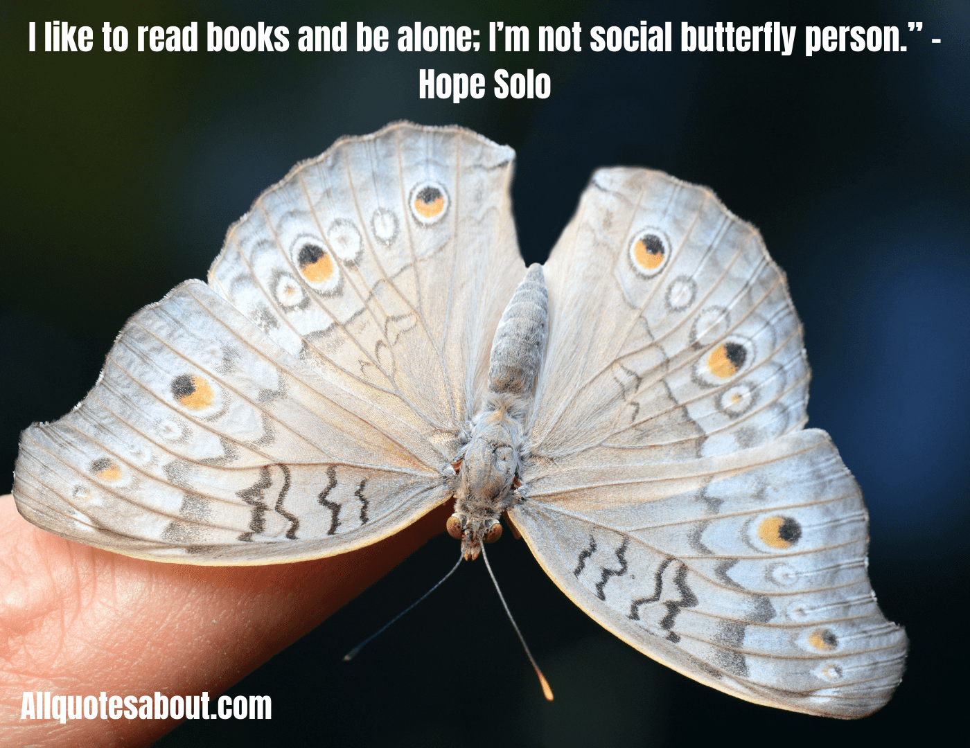 Butterfly Quotes