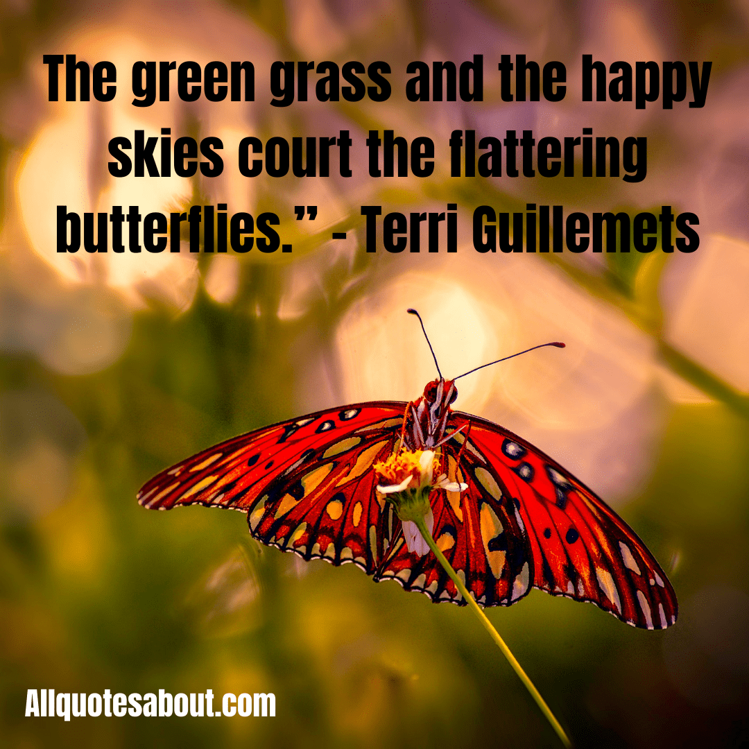 Butterfly Quotes