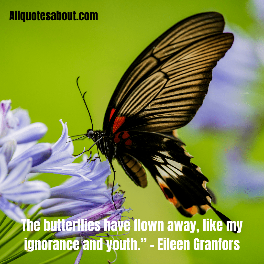Butterfly Quotes