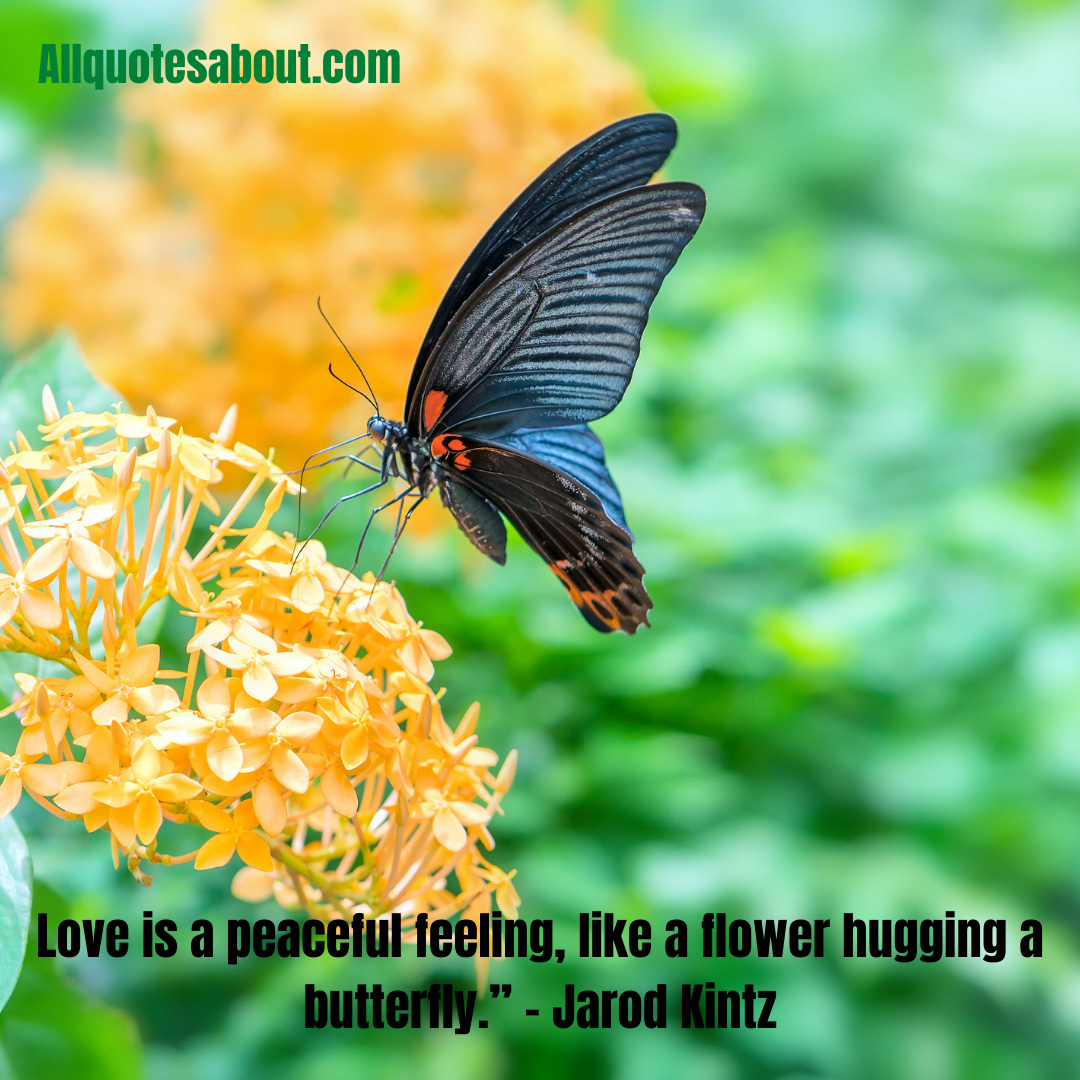 Butterfly Quotes