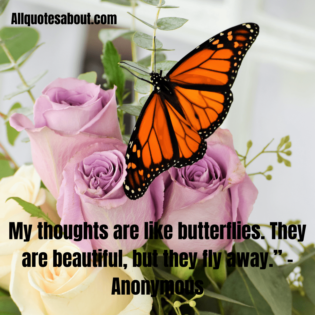 Butterfly Quotes
