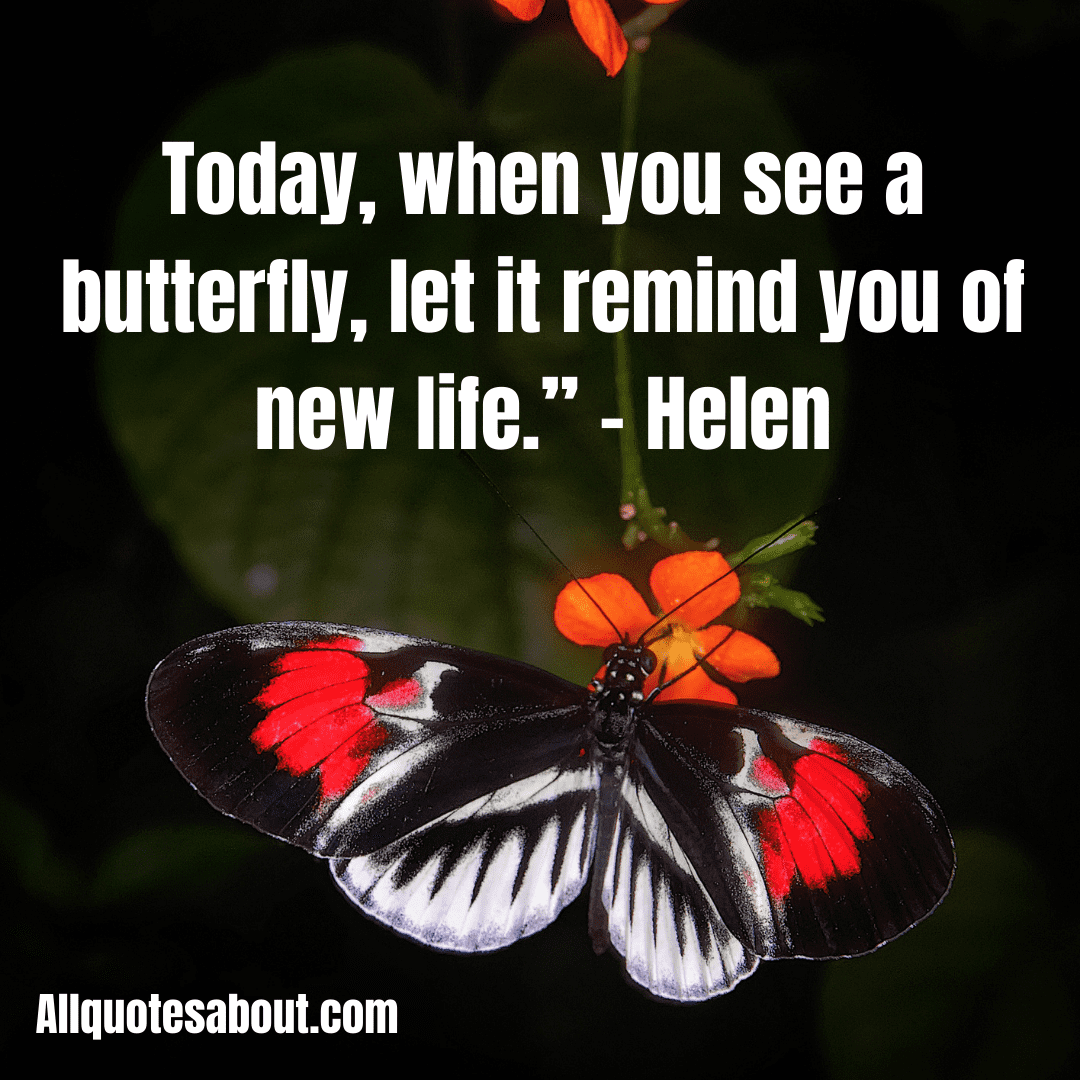 Butterfly Quotes