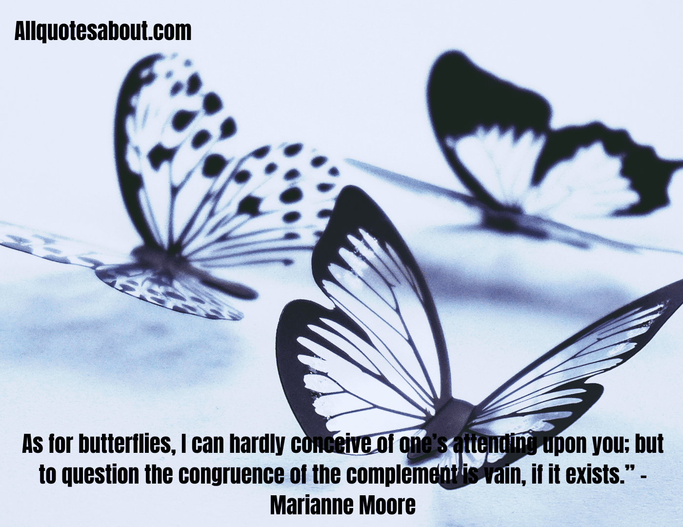 Butterfly Quotes