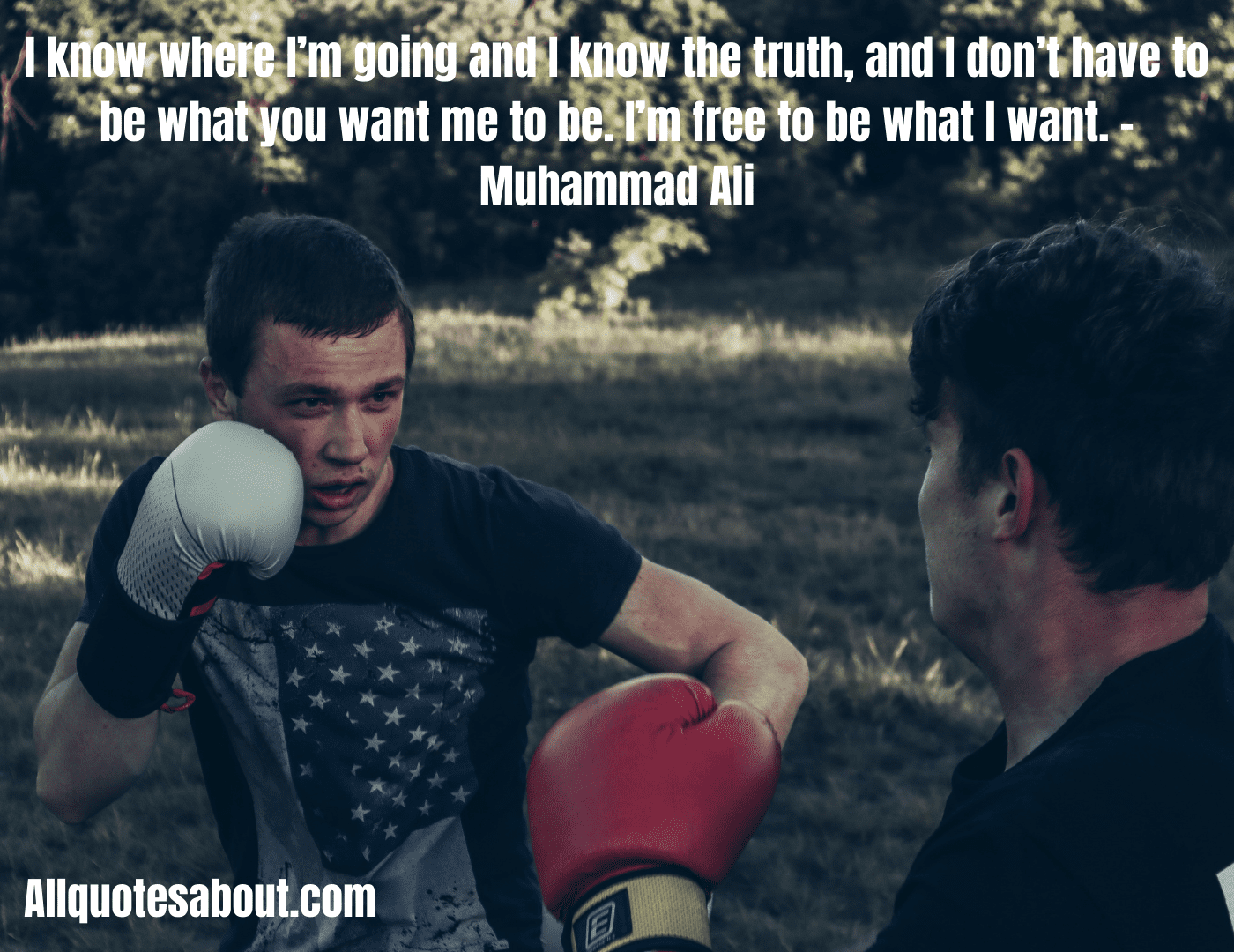 Boxing Day Quotes