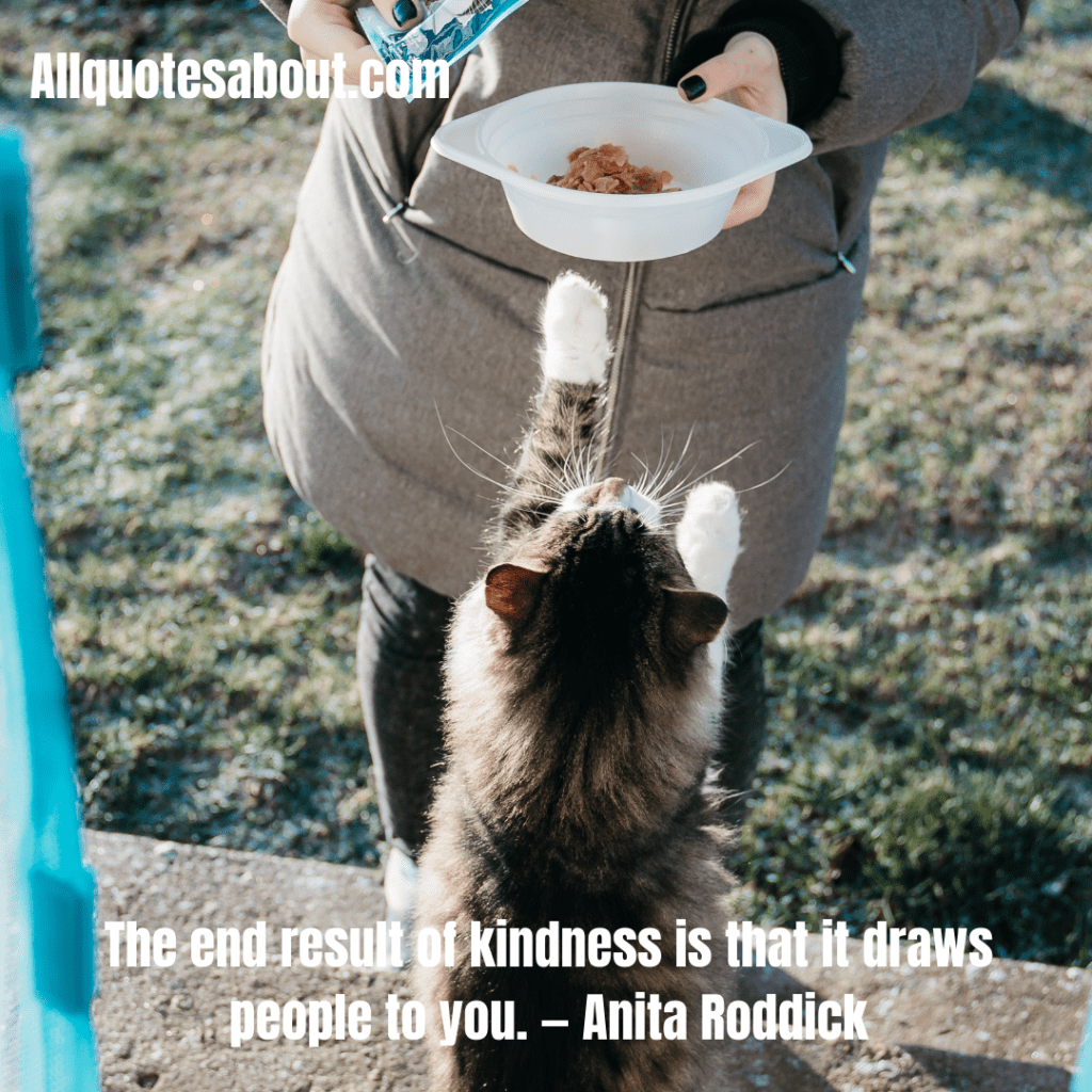 Kindness Quotes And Sayings