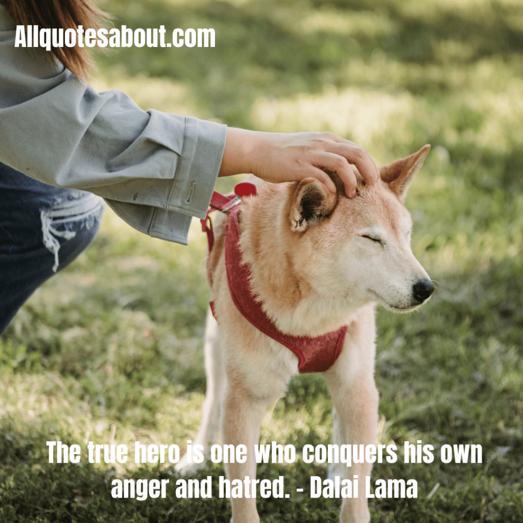 Kindness Quotes And Sayings