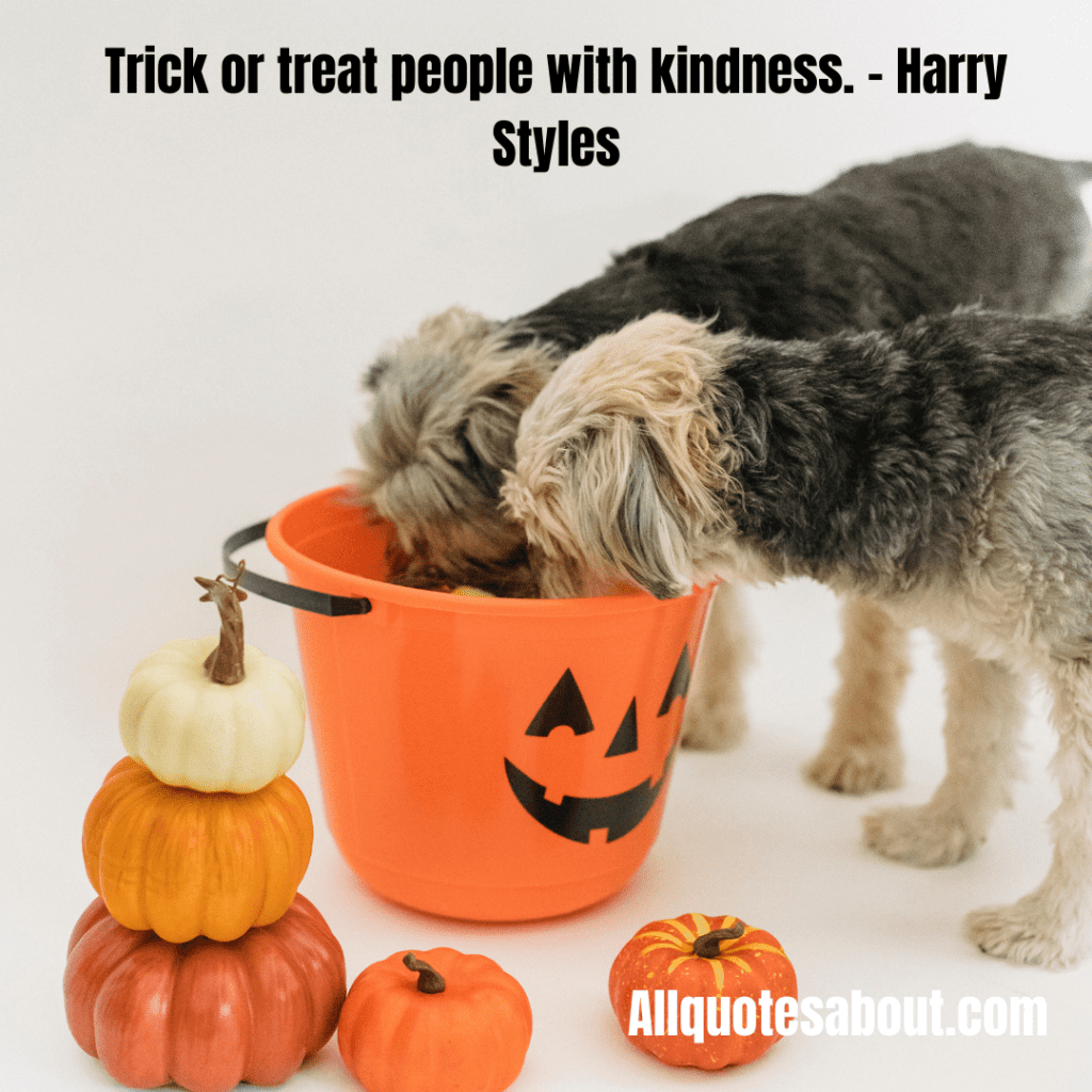 Kindness Quotes And Sayings