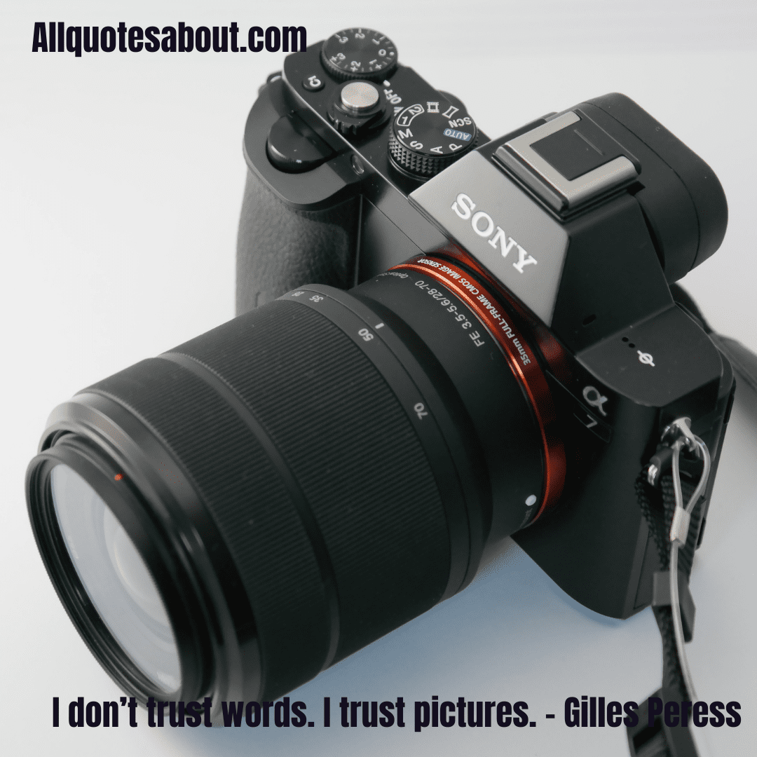 Portrait photographer in studio
