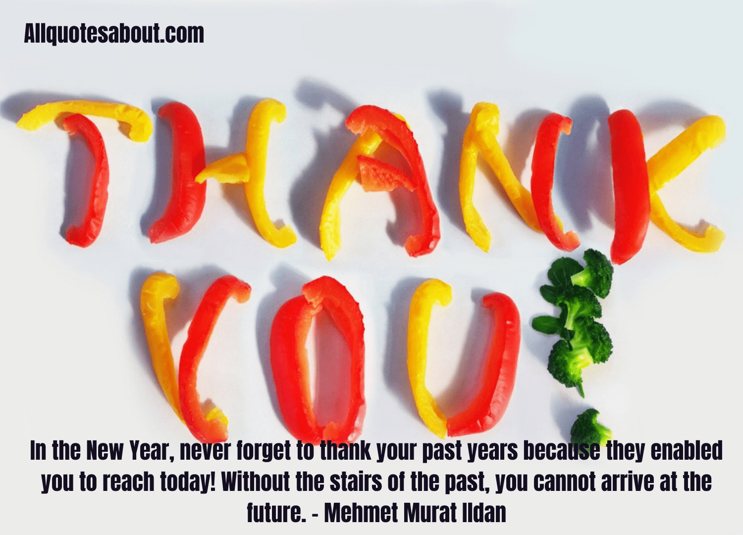 Thankful Quotes