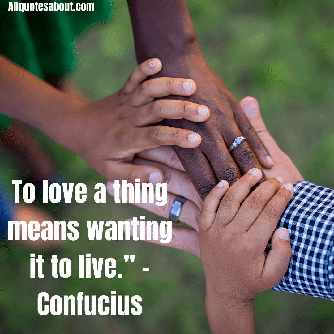 Confucius Quotes