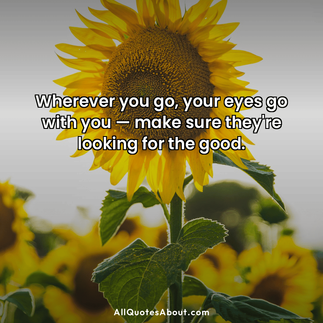 beautiful eyes quotes