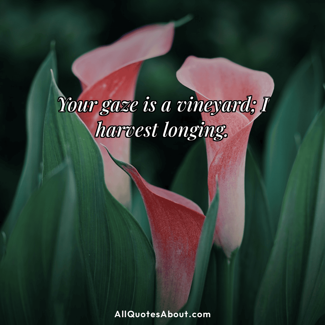 beautiful eyes quotes