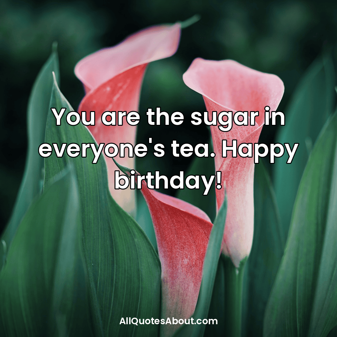 best birthday wishes
