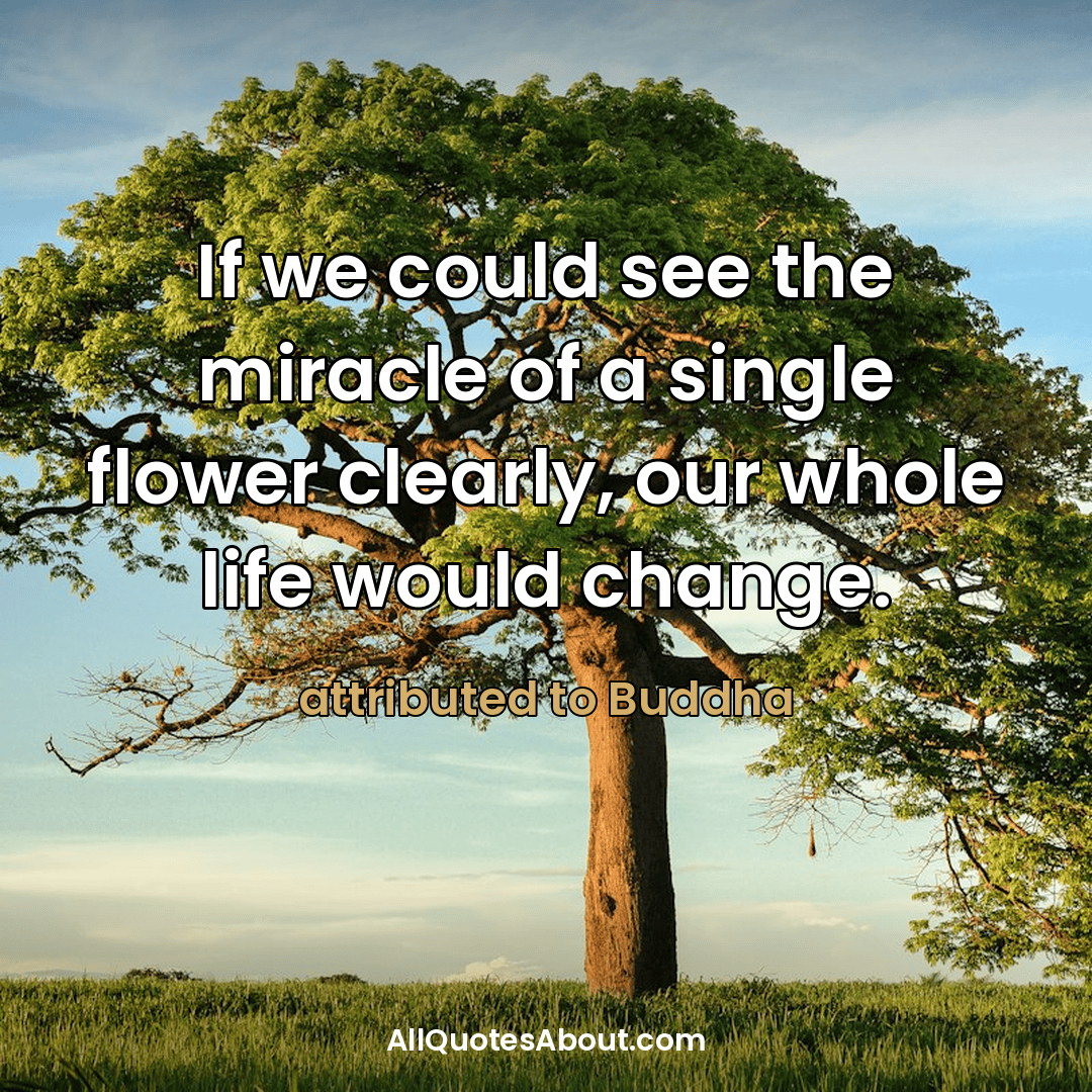 buddha quotes