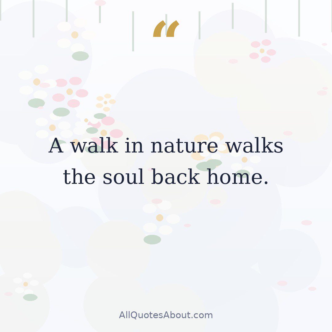 A walk in nature walks the soul back home. quote card