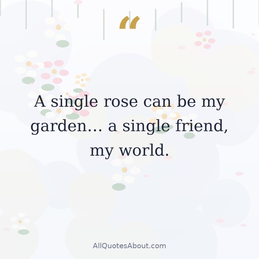 A single rose can be my garden… a single friend, my world. quote card