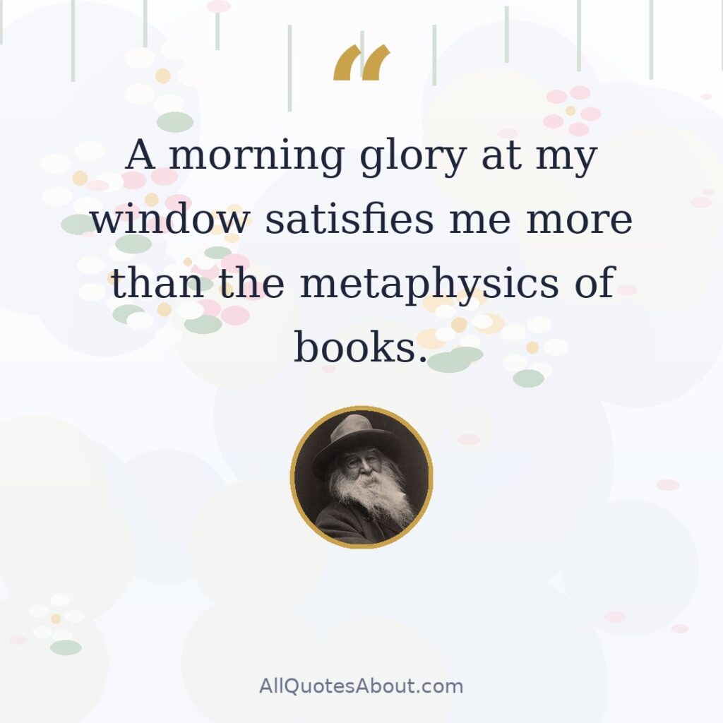 A morning glory at my window satisfies me more than the metaphysics of books. quote card