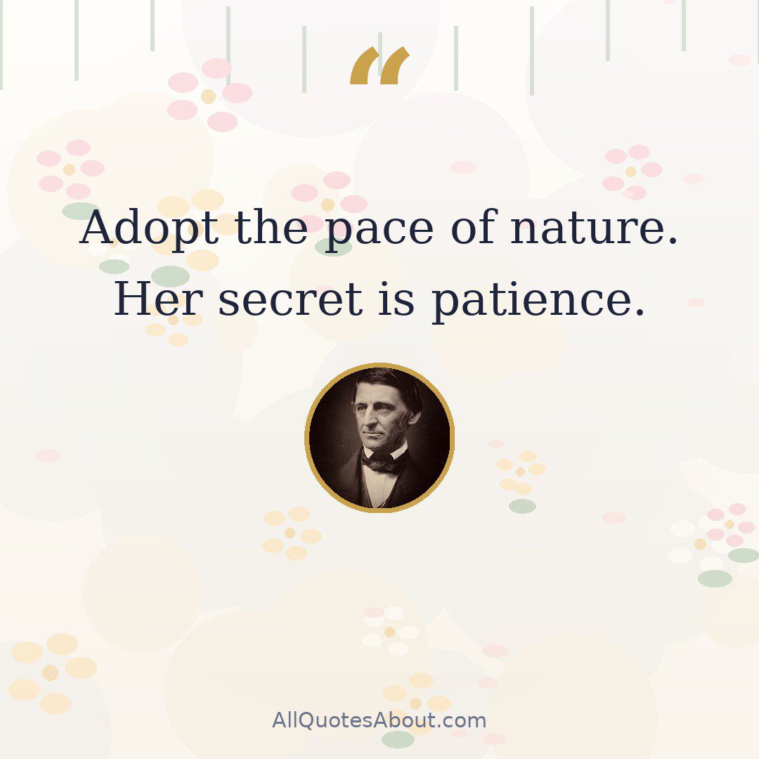 Adopt the pace of nature. Her secret is patience. quote card