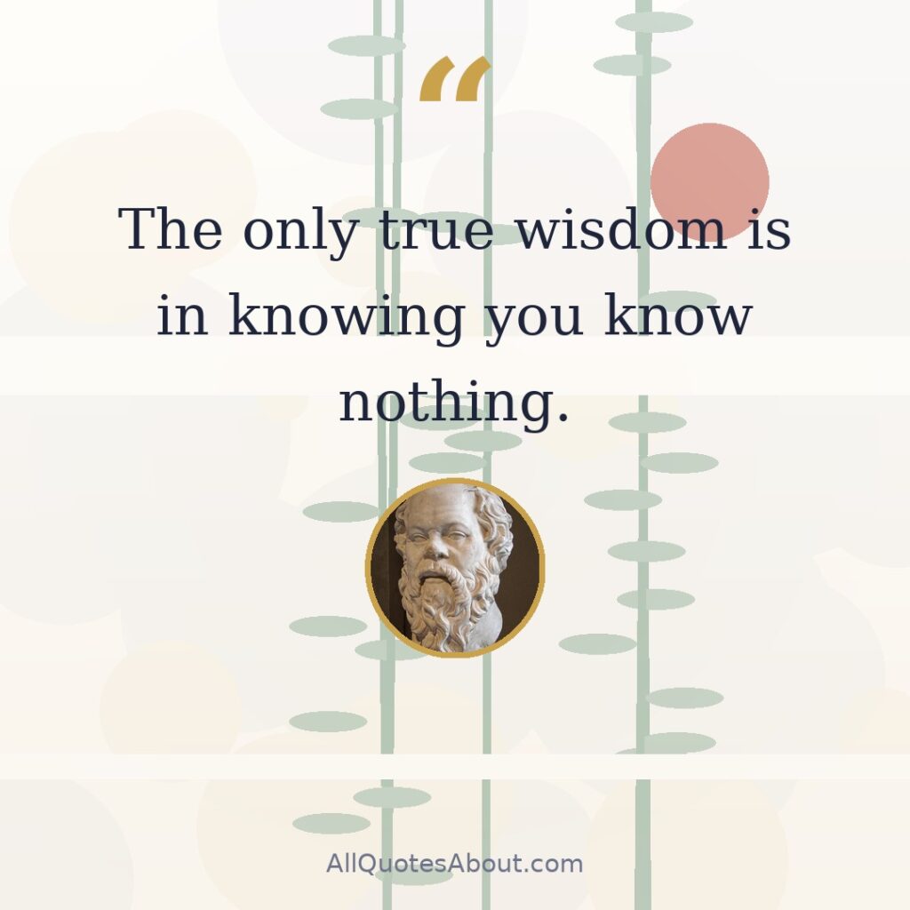 The only true wisdom is in knowing you know nothing. quote card