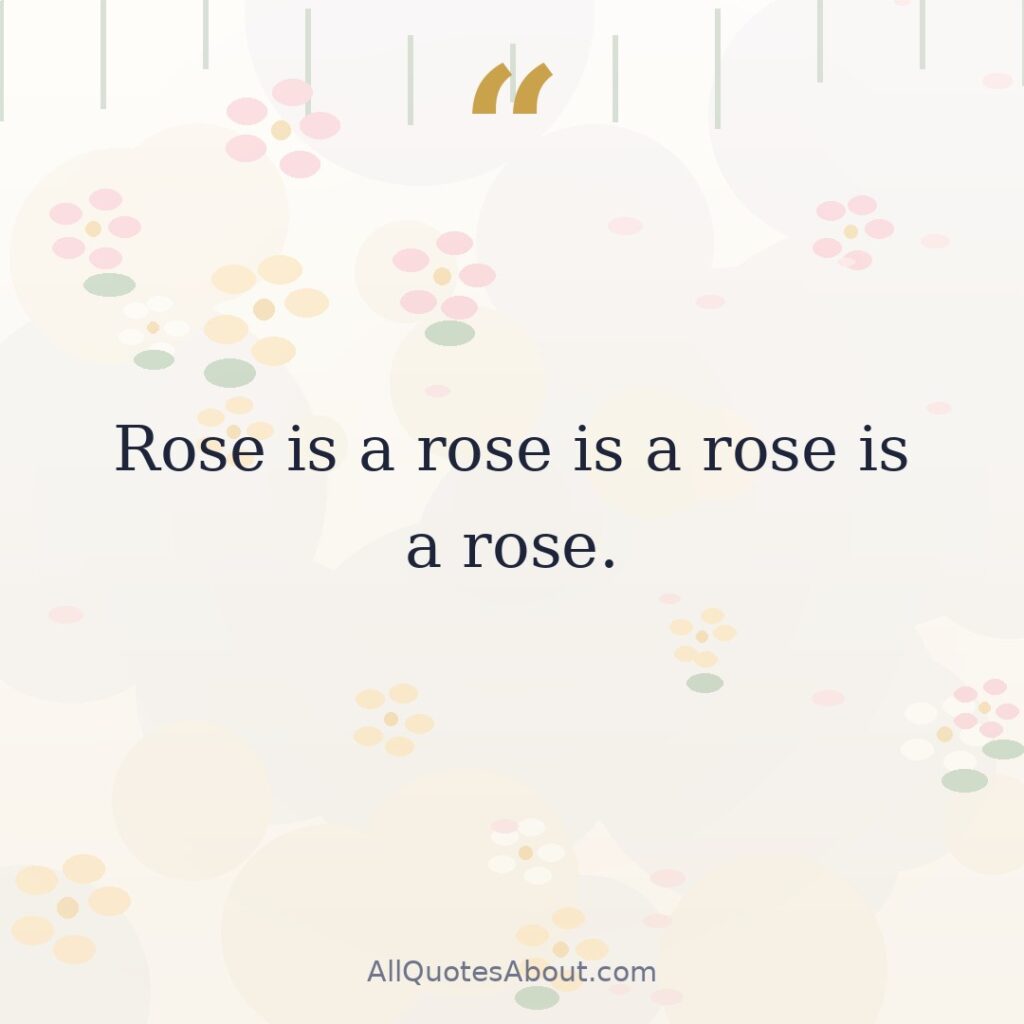 Rose is a rose is a rose is a rose. quote card