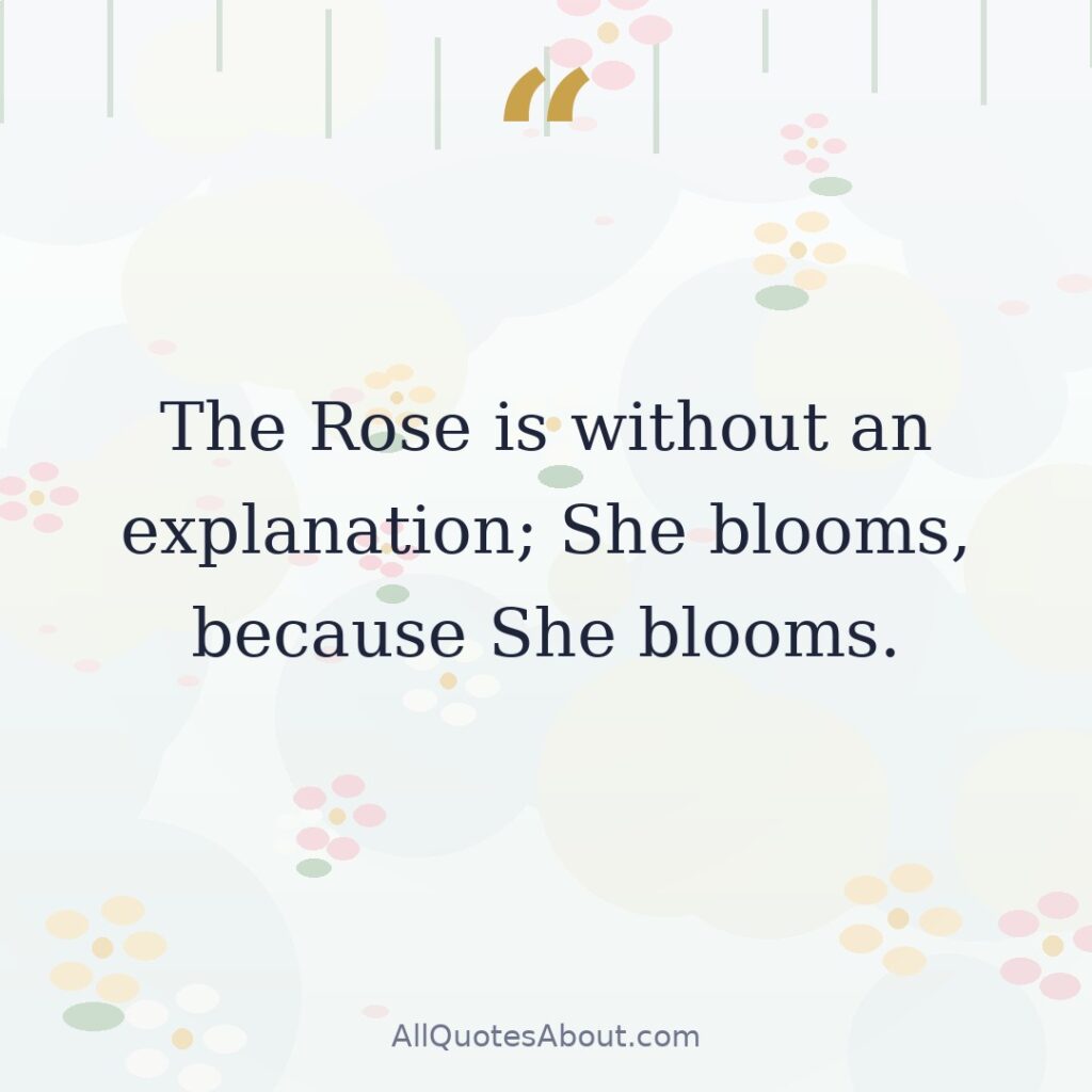 The Rose is without an explanation; She blooms, because She blooms. quote card