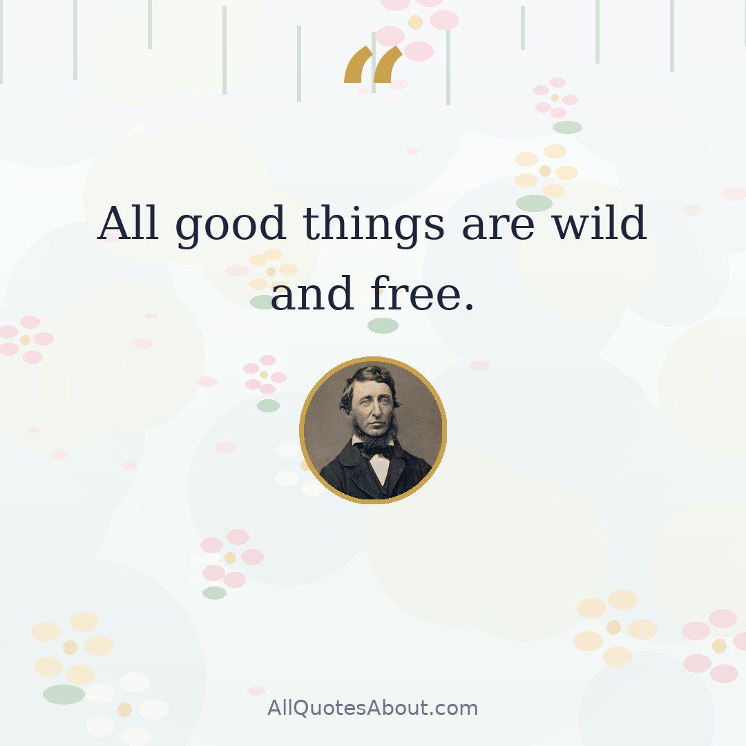 All good things are wild and free. quote card
