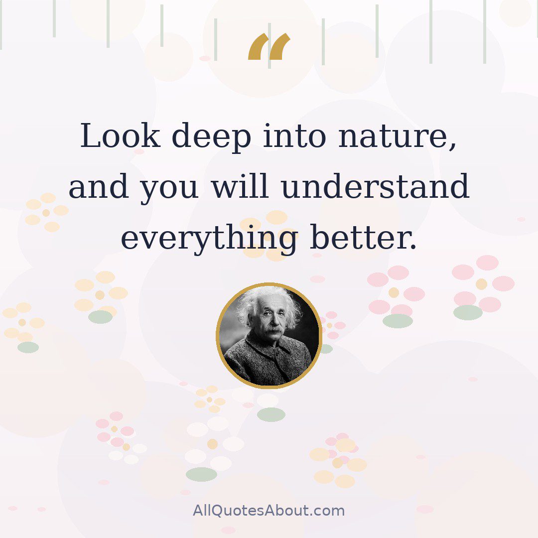 Look deep into nature, and you will understand everything better. quote card