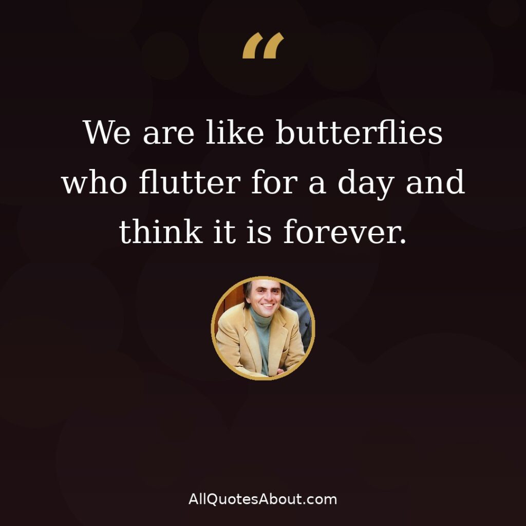 We are like butterflies who flutter for a day – Carl Sagan quote card